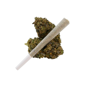 THCa 1.5g Preroll
