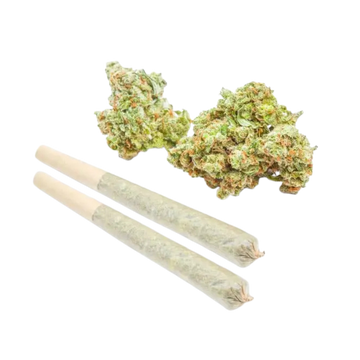 THCa Mini Preroll